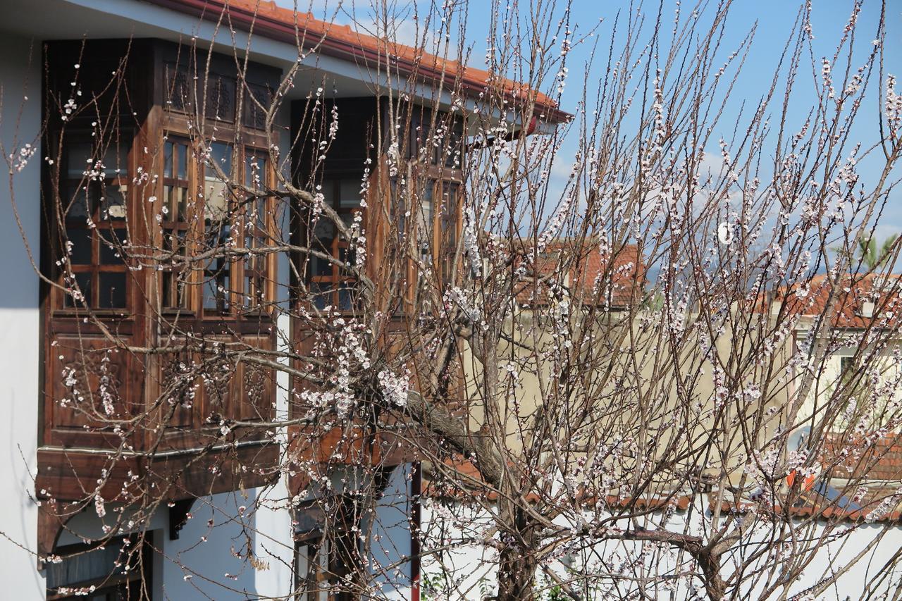 Ephesus Paradise Hotel Selçuk Eksteriør billede