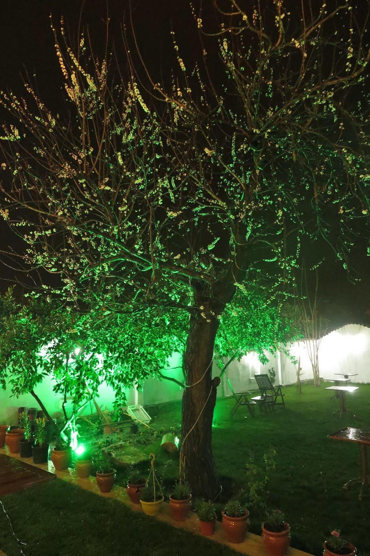 Ephesus Paradise Hotel Selçuk Eksteriør billede