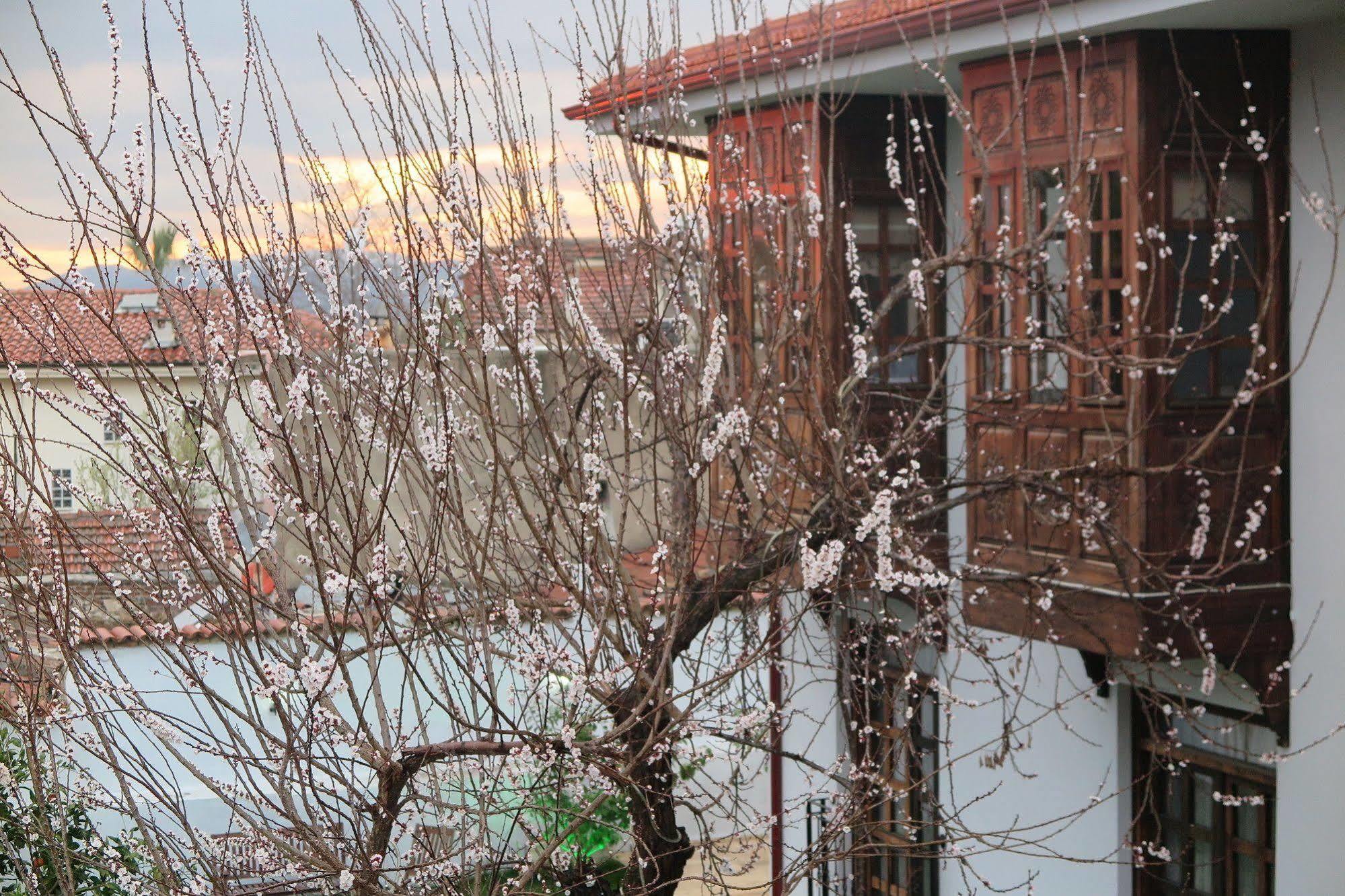 Ephesus Paradise Hotel Selçuk Eksteriør billede