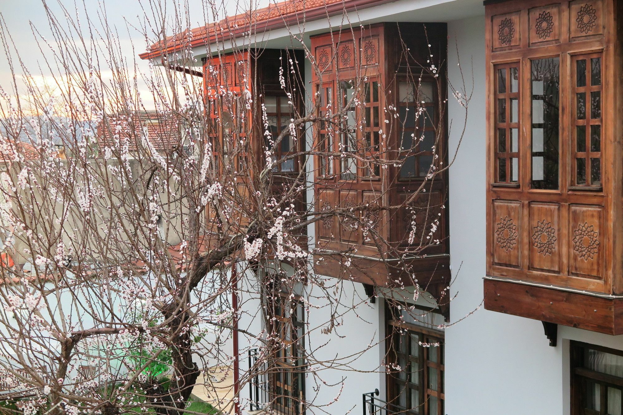 Ephesus Paradise Hotel Selçuk Eksteriør billede